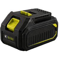 Extra Battery